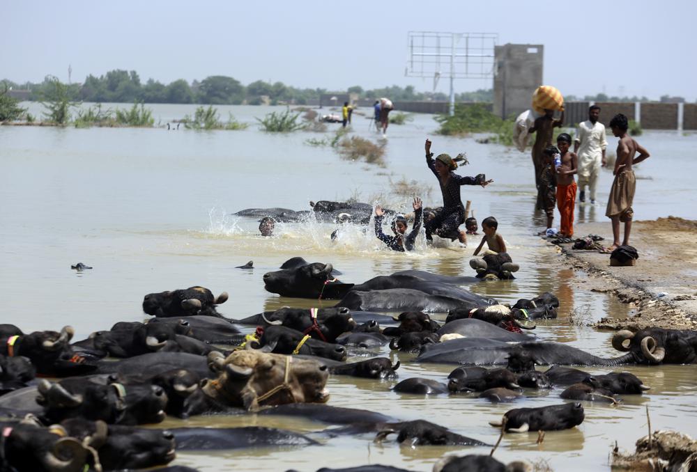 https://www.nepalminute.com/uploads/posts/Photo AP - Flood in Pakistan1663750303.jpeg
